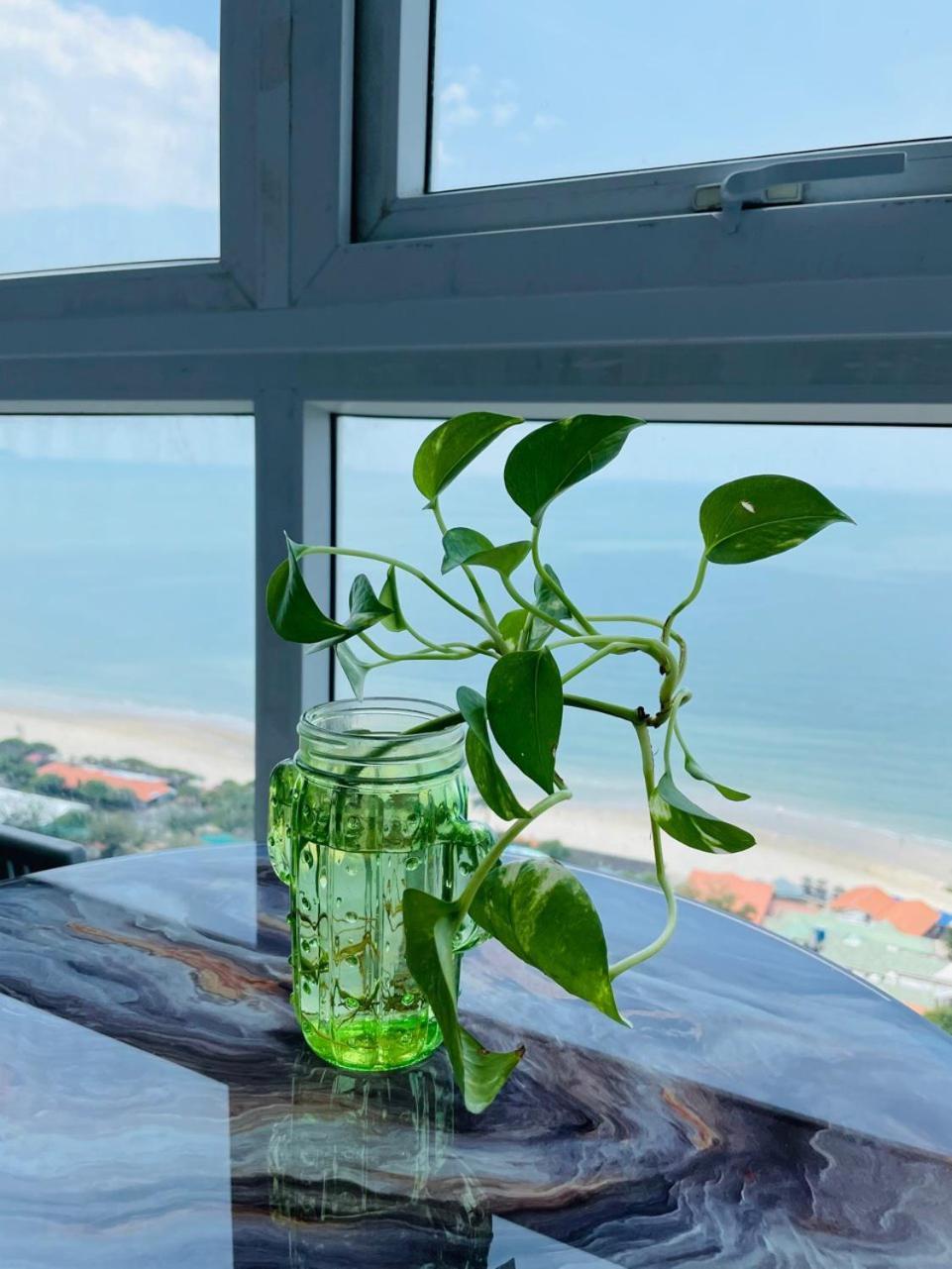 Can Ho Oasky Canh Bien Bai Sau Vung Tau Luaran gambar